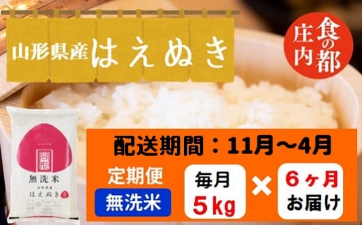 【11月～4月発送】無洗米山形県産はえぬき5kg×6回【定期便6回】