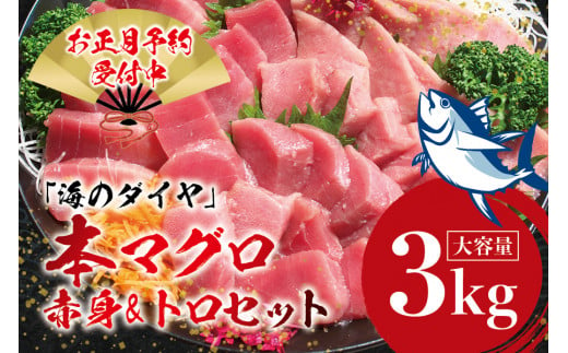 本マグロ（養殖）トロ＆赤身セット 3kg 【12月26日～30日に発送】高級 クロマグロ 中トロ 中とろ まぐろ マグロ 鮪 刺身 赤身 柵 じゃばらまぐろ 本マグロ 本鮪 年内配送 年内発送 お正月 正月【nks112B-sg】 1056104 - 和歌山県太地町