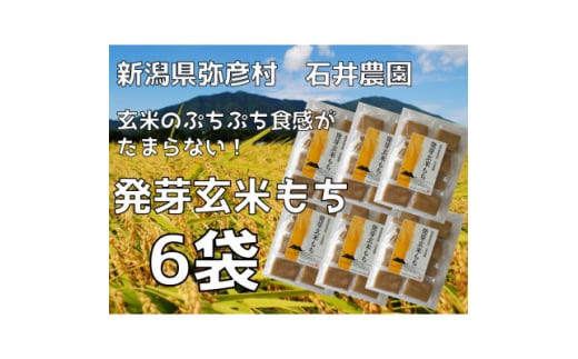 ぷちぷち食感がたまらない「発芽玄米餅」　6袋　新潟県弥彦村産「こがねもち」100%使用【1554475】 1512047 - 新潟県弥彦村