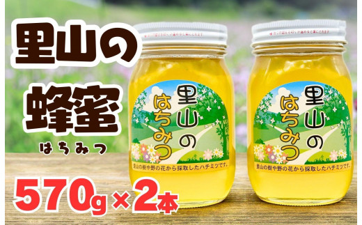 ありだ里山の蜂蜜 570g×2本セット 化粧箱入り