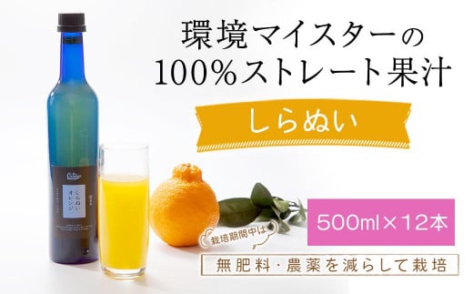 環境マイスターのしらぬい 100%ストレート果汁 500ml×12本セット （無肥料／栽培期間中農薬を減らして栽培／食品添加物無添加） ストレート 国産 不知火 しらぬい 柑橘類 果汁 1510983 - 熊本県水俣市