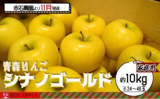りんご 【 11月発送 】 家庭用 シナノゴールド 約 10kg 【 弘前市産 青森りんご 】 果物類 林檎 リンゴ 1106860 - 青森県弘前市