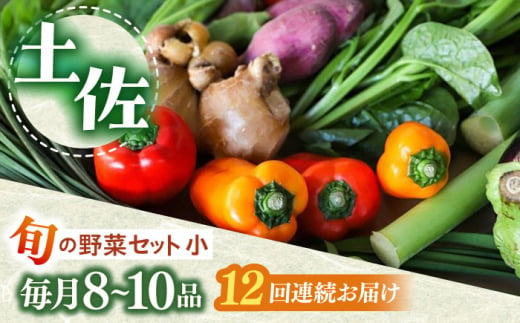 【12回定期便】 土佐の太陽をいっぱいに浴びた旬の野菜セット小 【土佐野菜】 [ATBA007] 454241 - 高知県高知市