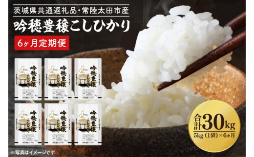 【6ヵ月定期便】＜令和6年産＞ 新米 吟穂豊穣こしひかり 5kg ×6ヵ月 精米 特別栽培 (茨城県共通返礼品・常陸太田市産) 新米 コシヒカリ こしひかり 米 ごはん コメ お米 白米 国産 茨城県産 定期便