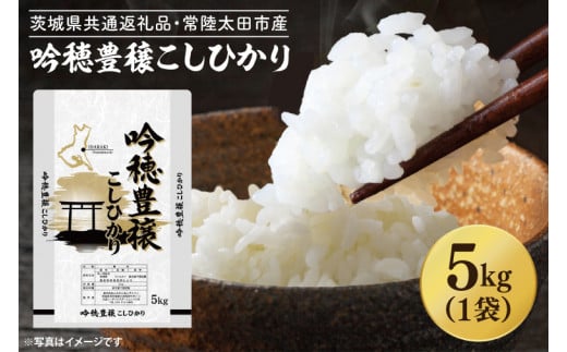 ＜令和6年産＞ 新米 吟穂豊穣こしひかり 5kg 精米 特別栽培 (茨城県共通返礼品・常陸太田市産) 新米 コシヒカリ こしひかり 米 ごはん コメ お米 白米 国産 茨城県産