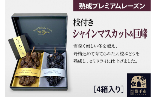 熟成プレミアムレーズン 枝付きプレミアムセット（シャインマスカット＆巨峰） 4箱セット