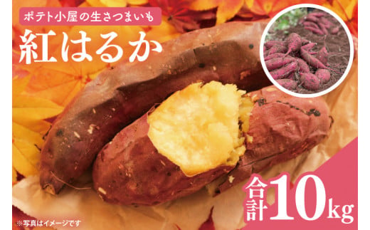 ポテト小屋の生さつまいも 【紅はるか】 10kg 【鹿嶋市 減農薬 サツマイモ 生芋 べにはるか 送料無料 10キロ 15000円以下】 (KBR-4) 436306 - 茨城県鹿嶋市