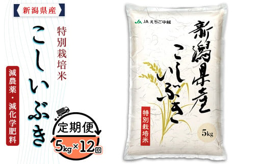 75-BK05Z【12ヶ月連続お届け】新潟県長岡産特別栽培米こしいぶき5kg【2025年2月上旬～下旬発送開始】 265129 - 新潟県長岡市