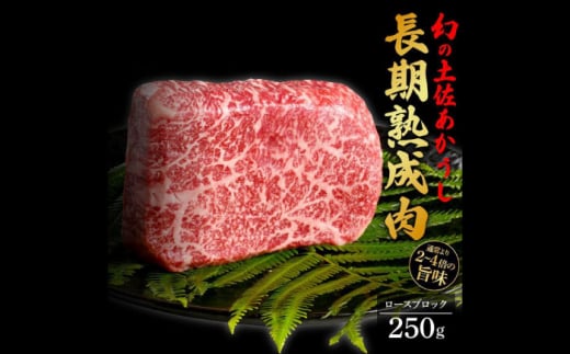 エイジング工法 熟成肉 土佐あかうし 特選ロース ブロック 約250g (冷凍) 【株式会社LATERAL】 [ATAY050] 1093348 - 高知県高知市