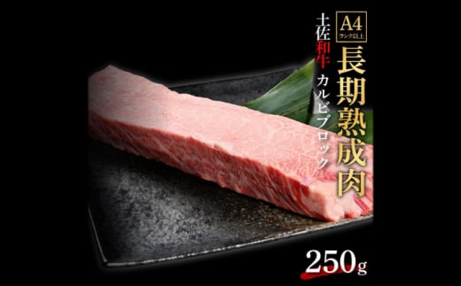 エイジング工法 熟成肉 土佐和牛 特選カルビ ブロック 約250g (冷凍) 【株式会社LATERAL】 [ATAY059] 1093357 - 高知県高知市