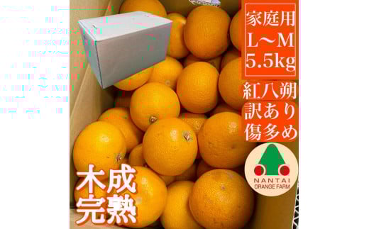 家庭用 5.5kg 訳あり 傷多め 木成完熟 紅はっさく L または M サイズ 茶箱 南泰園【2026年4月上旬～発送】