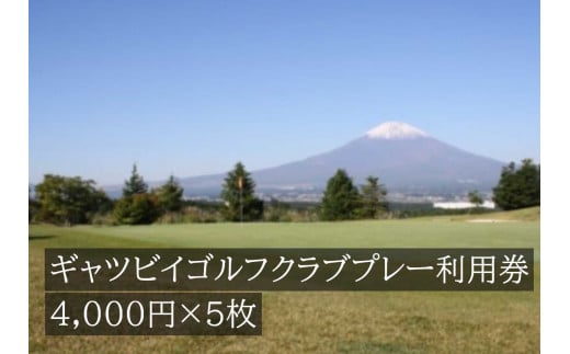 L19ギャツビイゴルフクラブプレー利用券　5枚 734077 - 静岡県小山町