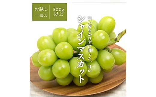 岡山県産 きよとうこだわりのシャインマスカット1房500g～ ぶどう ブドウ シャインマスカット 社員マスカット 葡萄 デザート フルーツ 果物 くだもの 果実 食品 TY0-0841 1519682 - 岡山県津山市