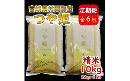 ＜毎月定期便＞宮城県村田町産つや姫　精米10kg(5kg×2)全6回【4057692】