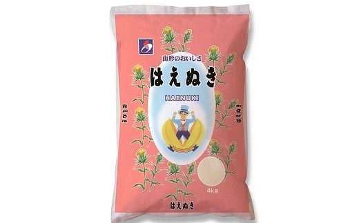 令和６年産 はえぬき８ｋｇ（４ｋｇ×２袋）　0059-2409 312074 - 山形県上山市