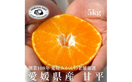 創業百八年 愛媛みかんの老舗＜甘平5kg(約15個～30個)＞家庭用＜新口農園＞＜F70-58＞【1554061】 1508200 - 愛媛県八幡浜市