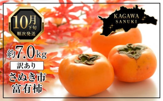 訳あり 富有柿 約7kg(約25個～30個)【柿 かき カキ さぬき市産 数量限定】 596938 - 香川県さぬき市