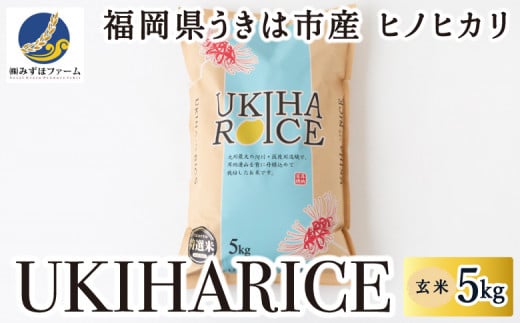 みずほファーム UKIHA RICE 玄米5kg 2024年10月20日より順次出荷予定