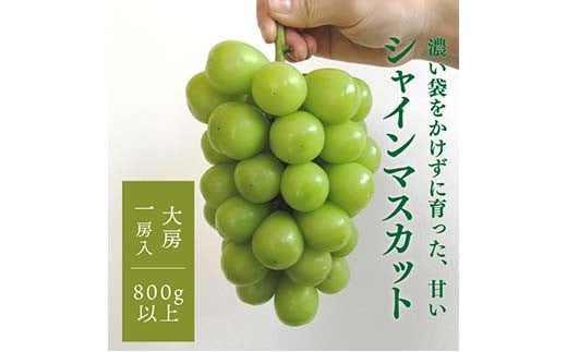 岡山県産 きよとうのこだわりのシャインマスカット 特大 1房800g〜 ぶどう ブドウ シャインマスカット 社員マスカット 葡萄 デザート フルーツ 果物 くだもの 果実 食品