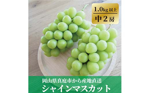 ＜きよとうファーム＞食べ切サイズ シャインマスカット 中2房/計1.0kg～(岡山県産)【1602851】 1519683 - 岡山県津山市