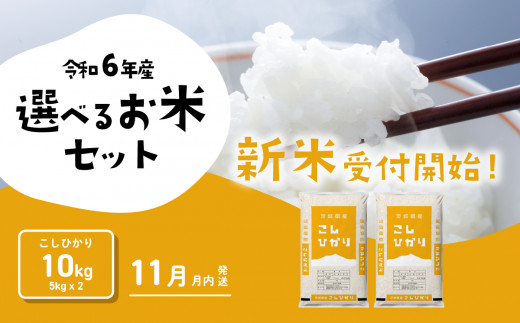 コシヒカリ10kg 5kgx2袋 令和6年産 新米 11月発送 先行予約 こしひかり あきたこまち 食べ比べ 白米 精米 茨城県 八千代町 [SF020ya]