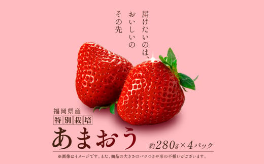 【先行予約】 福岡県産 あまおう 約280g×4パック 約1kg 以上 冷蔵 小分け いちご 苺 イチゴ フルーツ 果物 スイーツ くだもの 冬 春 旬 福岡 九州 福岡県 川崎町 数量限定 期間限定 エコファーマー 特別栽培 【1月上旬より順次出荷】  1511973 - 福岡県川崎町