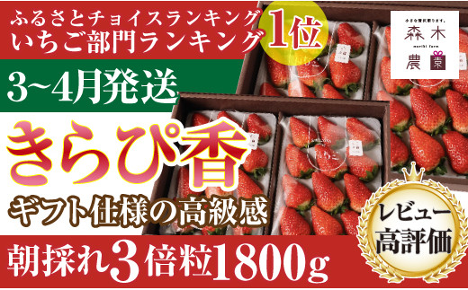 060-33　【3月～4月発送】最高の最高の贅沢をあなたに…森木農園が育てる『超大粒きらぴ香』4トレイ　合計1800ｇ以上 1477170 - 静岡県牧之原市