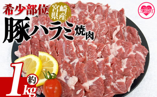 ＜宮崎県産希少部位 豚ハラミ焼肉 約1kg＞ 国産 豚肉 ぶたにく お肉 はらみ 焼き肉 ブタ ステーキ BBQ 1キロ  使いやすい 小分け パック 真空冷凍 お弁当 ジューシー 肉質 柔らかい 上品 豊かな味わい 味彩豚 ブランド 数量限定 【MI462-tr】【TRINITY】 1510490 - 宮崎県三股町