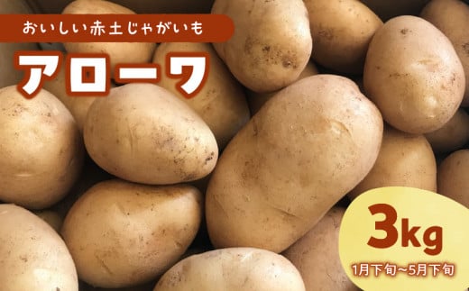 【2025年先行予約】沖永良部島産 おいしい赤土じゃがいも アローワ 3kg【1月下旬～5月下旬】　W009-070u-01 1093029 - 鹿児島県和泊町