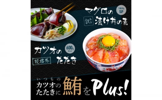 規格外カツオたたき 約600g＋マグロ漬け丼の素 約80g×5パック 【興洋フリーズ株式会社】 [ATBX044] 1286737 - 高知県高知市