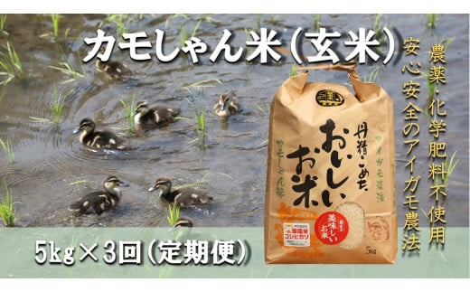 【令和6年度産】コシヒカリ（玄米）カモしゃん米 5kg 【 定期便 3回 アイガモ あいがも 合鴨 かも カモ コシヒカリ お米 農家直送 無農薬 化学肥料不使用 玄米 精米 選択可能 安心 安全 新米 令和6年度産 島根県飯南町 D-154】 1511546 - 島根県飯南町