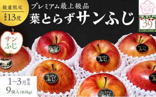 りんご 【 数量限定 】1～3月発送 糖度13度以上  「特選」プレミアム 葉とらずサンふじ 約 3kg 9個入り【 弘前市産 青森りんご 】 684510 - 青森県弘前市