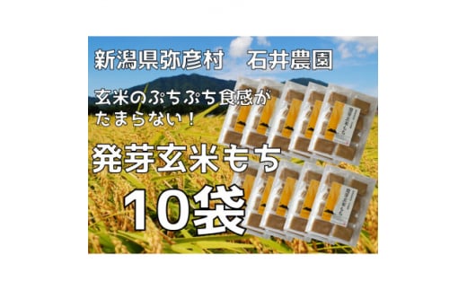 ぷちぷち食感がたまらない「発芽玄米餅」　10袋　新潟県弥彦村産「こがねもち」100%使用【1554478】 1512049 - 新潟県弥彦村