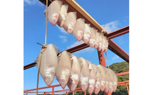 [スピード発送]電子レンジ調理可能! 日本酒おつまみ 天日干し 加塩ミズカレイ 3枚 合計300g以上 [1980]