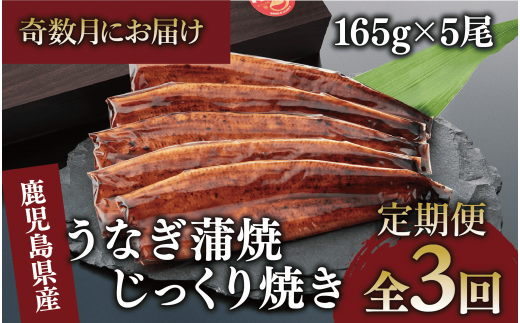 【全３回定期便・奇数月お届け】鹿児島県産うなぎ蒲焼じっくり焼き約165g×5尾(大新/Z100-1697) 鰻 蒲焼 国産 丑の日 うな重 無頭 ギフト ふっくら 小分け レンジ 簡単 頒布会 小分け うな丼 ウナギ 冷凍 1520017 - 鹿児島県指宿市