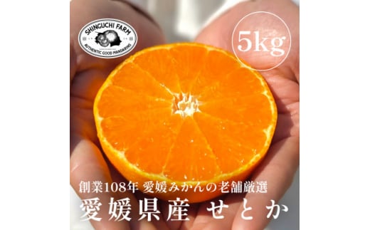 創業百八年 愛媛みかんの老舗＜せとか5kg(約15個～30個)＞家庭用＜新口農園＞＜F70-57＞【1554059】 1508199 - 愛媛県八幡浜市