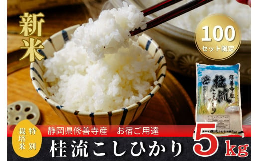 （ 数量限定 100 セット） 新米　 静岡 伊豆 修善寺産  桂流 こしひかり 5㎏ 【 コシヒカリ 白米 お米 精米 国産 米 ごはん 特別栽培米 お取り寄せ 静岡県 伊豆市】010-018 1472911 - 静岡県伊豆市