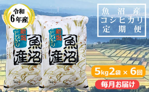 KY173P411 【共栄農工社】 令和6年産 魚沼産コシヒカリ定期便 5kg2袋×6回／毎月お届け 白米 魚沼 米 定期便 772556 - 新潟県小千谷市