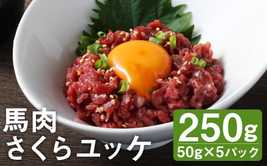 馬肉 さくらユッケ 250g （50g×5パック） お肉 肉 ユッケ 赤身 馬刺し 馬刺 馬ユッケ 小分け カット 冷凍 1412626 - 熊本県菊池市