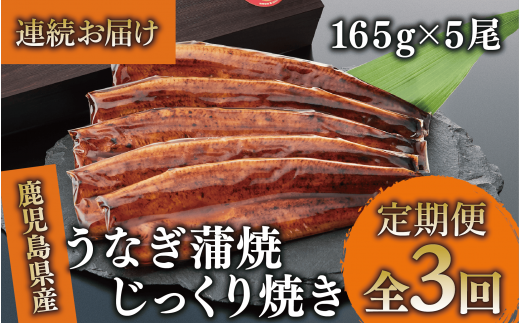 【全３回定期便・連続お届け】鹿児島県産うなぎ蒲焼じっくり焼き約165g×5尾(大新/Z100-1699) 鰻 蒲焼 国産 丑の日 うな重 無頭 ギフト ふっくら 小分け レンジ 簡単 頒布会 小分け うな丼 ウナギ 冷凍