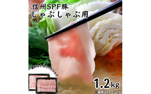 信州SPF豚　しゃぶしゃぶ用　1.2kg(ロース300g×2パック、バラ300g×2パック)【1556575】 1513416 - 長野県飯田市