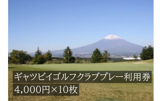 Y1ギャツビイゴルフクラブプレー割引券 20枚 - 静岡県小山町｜ふるさとチョイス - ふるさと納税サイト