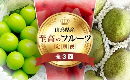 《2025年先行予約》 山形県 至高のフルーツ！ 山形県旬のフルーツ定期便 全3回 FSY-2013 1550219 - 山形県山形県庁