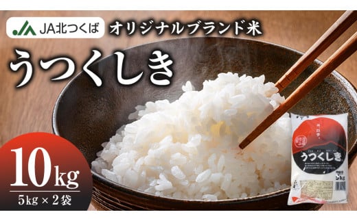 [ 12/15入金確認分まで 年内配送 ][ JA 北つくば オリジナル ブランド米 ] うつくしき 10kg ( コシヒカリ ) ( 5kg × 2袋 ) 令和6年産 農協 JA 米 お米 白米 コメ こしひかり 茨城県 精米 新生活 応援 [AE045ci]