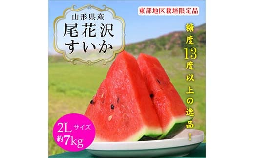 《2025年産先行受付》山形県産【尾花沢すいか・東部限定】 2L 約7kg  スイカ すいか 西瓜 デザート フルーツ 果物 くだもの 果実 食品 山形県 FSY-0012 290501 - 山形県山形県庁