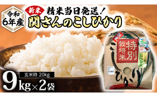 特別栽培米 》 令和6年産 精米日出荷 関さんの「 こしひかり 」 4.5kg × 3袋 ( 玄米時 15kg ) 新鮮 コシヒカリ 精米 米 こめ  コメ 特別栽培農産物 認定米 新米 - 茨城県牛久市｜ふるさとチョイス - ふるさと納税サイト