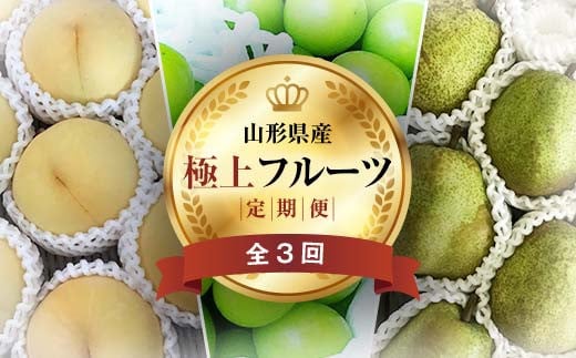 《2025年先行予約》 山形県 至高のフルーツ！ 山形県極上フルーツ定期便 全3回 FSY-2012 1550220 - 山形県山形県庁