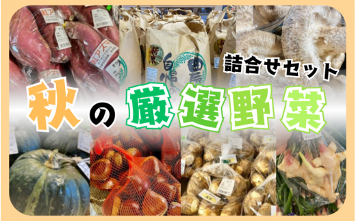 ラポルテ五泉秋の厳選野菜詰合せ [2025年9月以降順次発送] [4～5品種お届け]  新潟県 五泉市 まるっと五泉プロジェクトFunSpace株式会社 2260317 - 新潟県五泉市