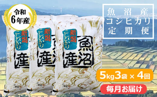 KY173P413 【共栄農工社】 令和6年産 魚沼産コシヒカリ定期便  5kg3袋×4回／毎月お届け 白米 魚沼 米 定期便 772558 - 新潟県小千谷市