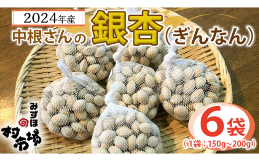 銀杏 祖父江のぎんなん 1kg ( 500g × 2箱 ) 大粒 光田農園 - 愛知県稲沢市｜ふるさとチョイス - ふるさと納税サイト